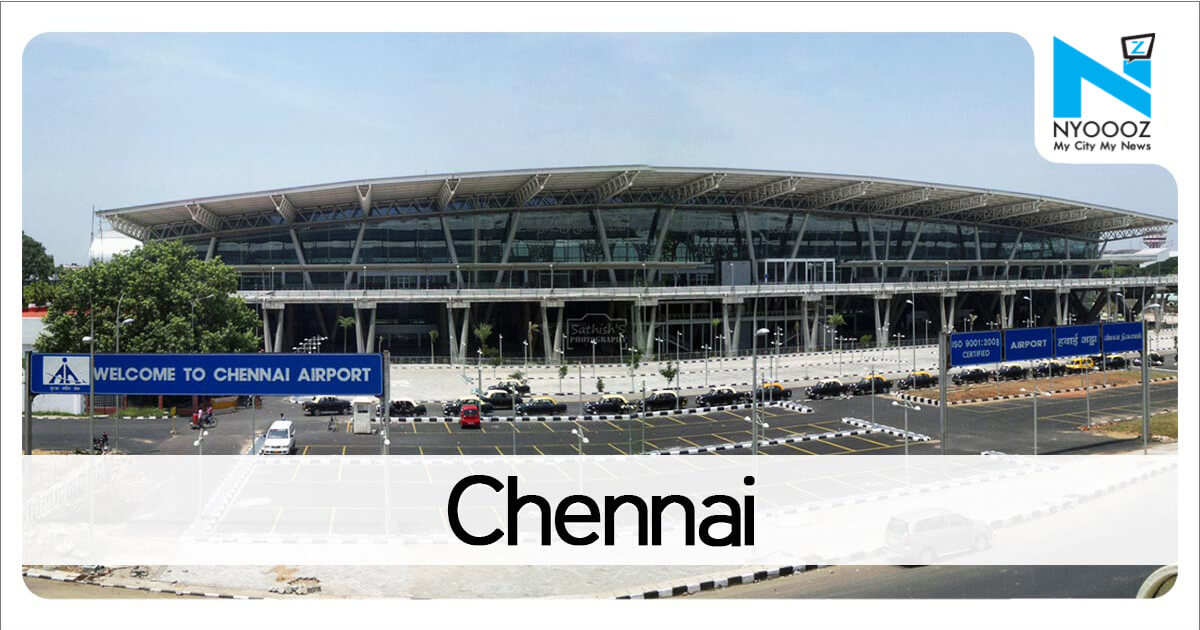 Not so safe: 2 bird hits a month at Chennai airport