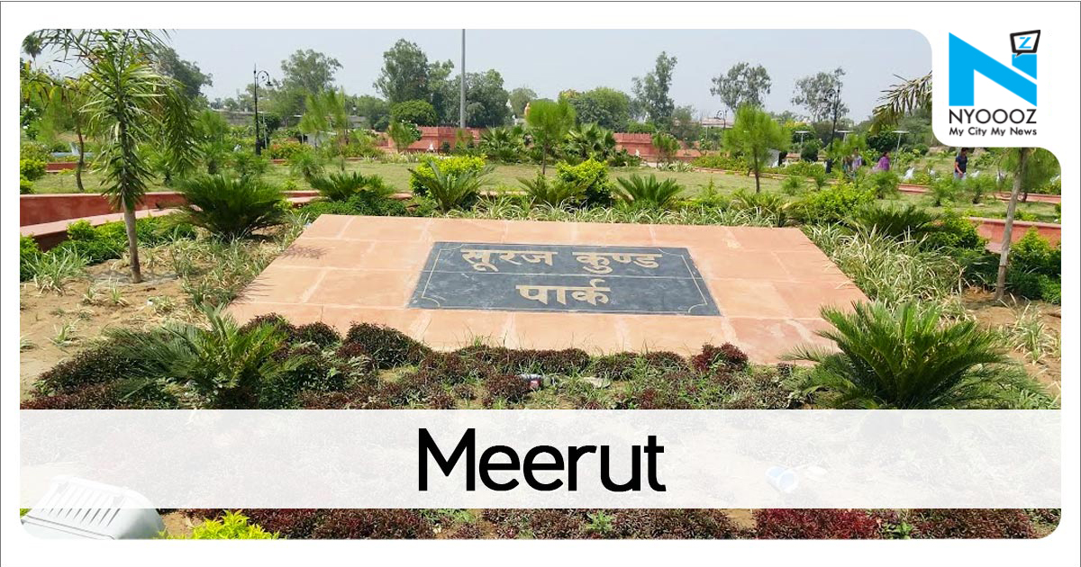 Meerut News: मुखर्जी नगर में छत से कूदकर आत्महत्या, सिविल सर्विसेज की तैयारी कर रही थी स्वाति, पांच दिन पहले गई थी दिल्ली