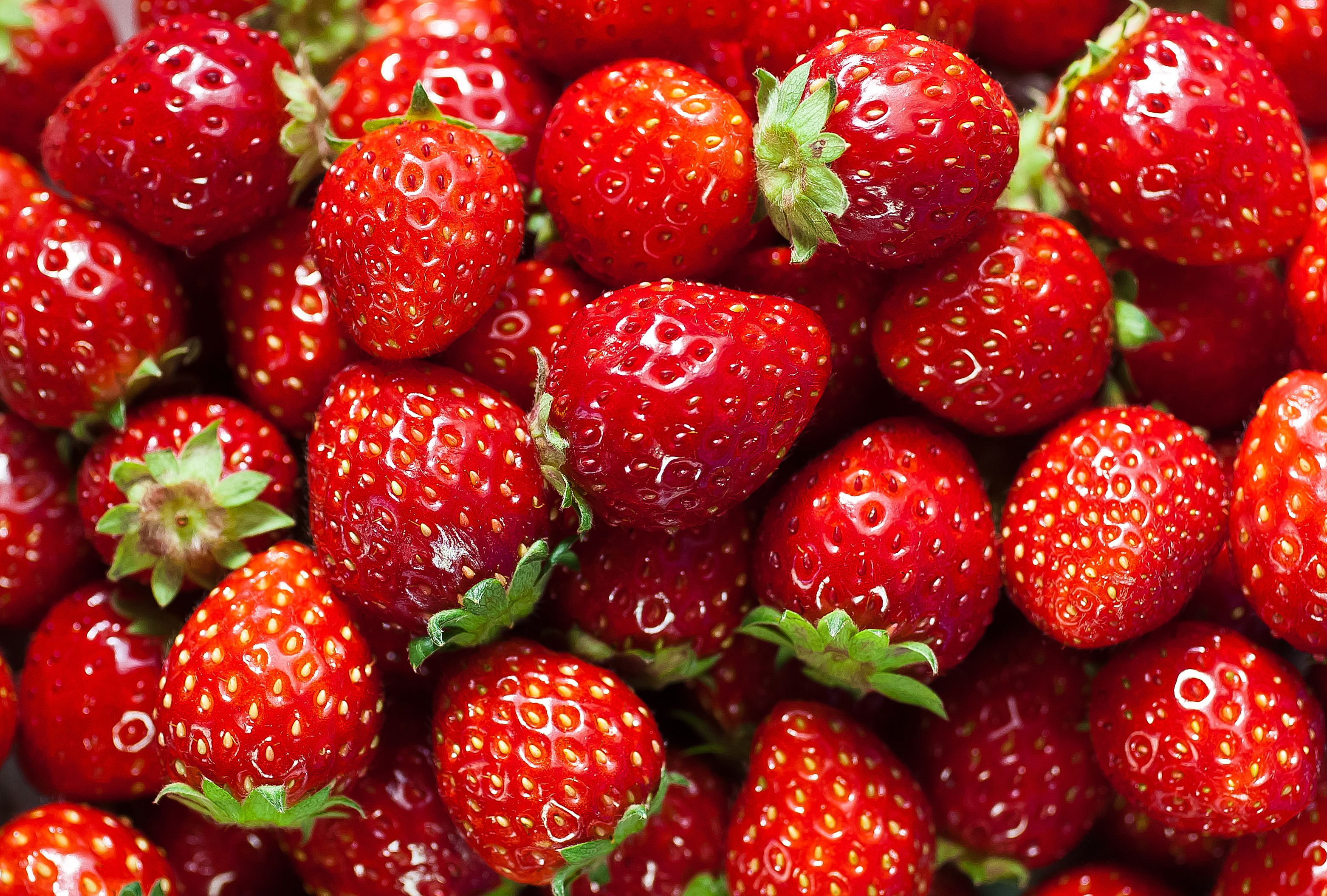 स्ट्रॉबेरी की खेती बनेगी झांसी की पहचान | JHANSI | NYOOOZ HINDI