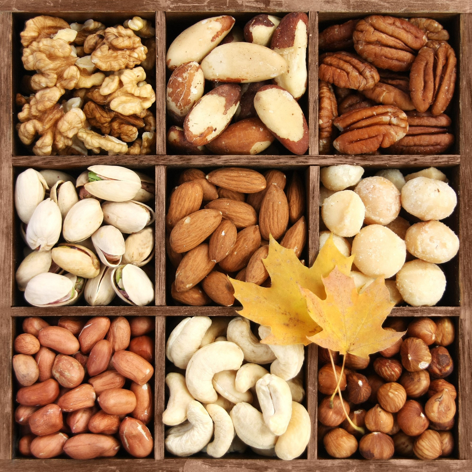 Орехи по цвету какие. Орехи. Съедобные орехи. Орехи разные. Орехи и семена.