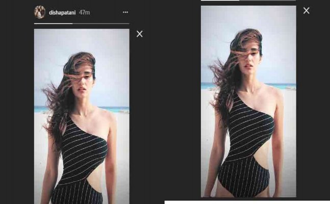 Disha Patani's latest photographs in black swimwear will make you go week in knees
