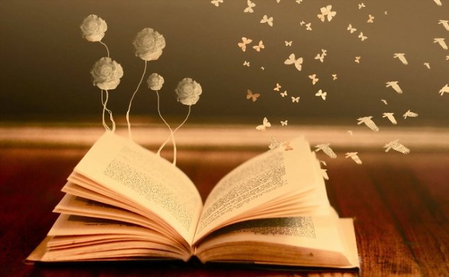 Reading books can make you a better person | EDUCATION NYOOOZ