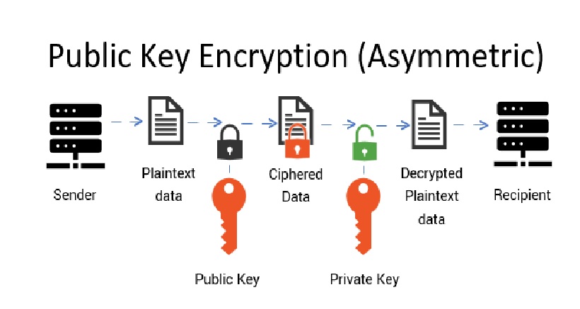Sophiapond приват. Public Key private Key. Public private Key encryption. Public-Key cryptography. SSL публичный ключ и приватный ключ.