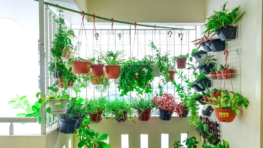 4 ways to include greenery in your house 