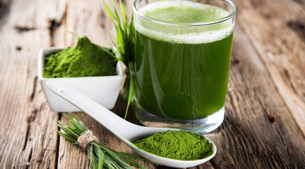 For building hemoglobin and improving immunity: here’s why you should include wheatgrass in your diet