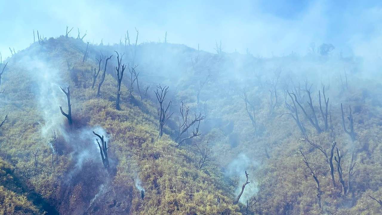 Dzukou Valley Forest Fire Spreading Towards Manipur Hills: NDRF