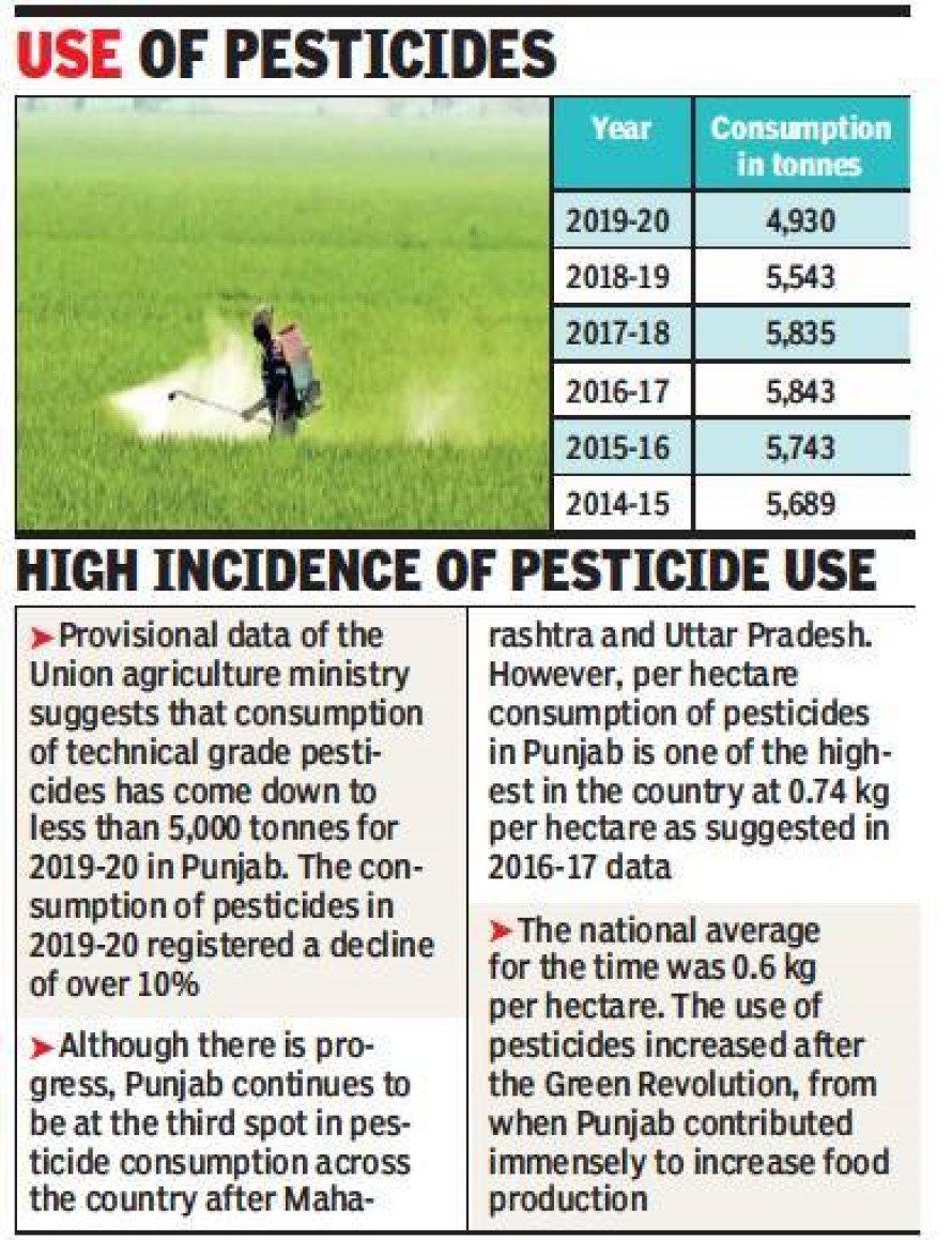 Punjab farmers at risk of genotoxic damage