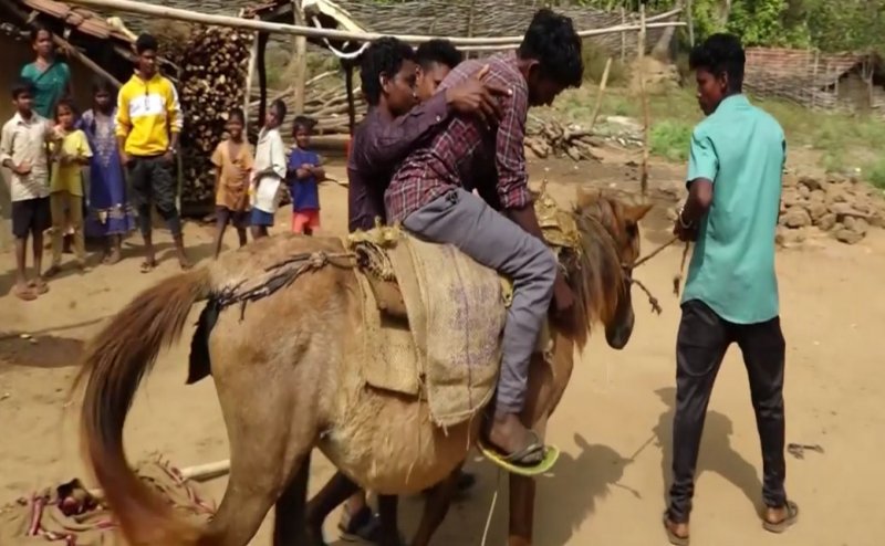 No roads for tribal people, Vizag Tribal Hamlet Depend On Horses For Daily Needs