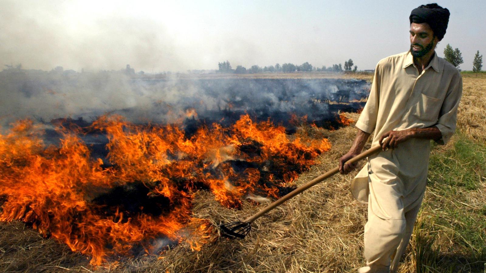 due to ongoing crop residue burning DM forms monitoring committee, imposes ban. 