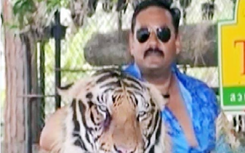 Uttar Pradesh: National-level shooter who turned poaching kingpin killed in crash