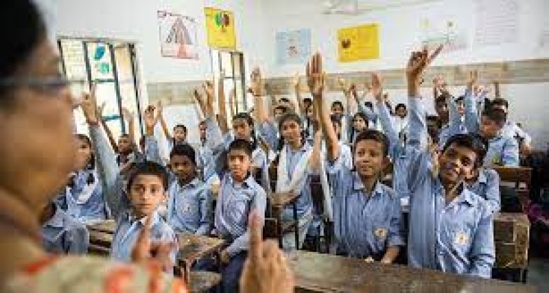 +8000 Vacancies; only diploma required! Apply soon for Punjab Teacher Recruitment 2021