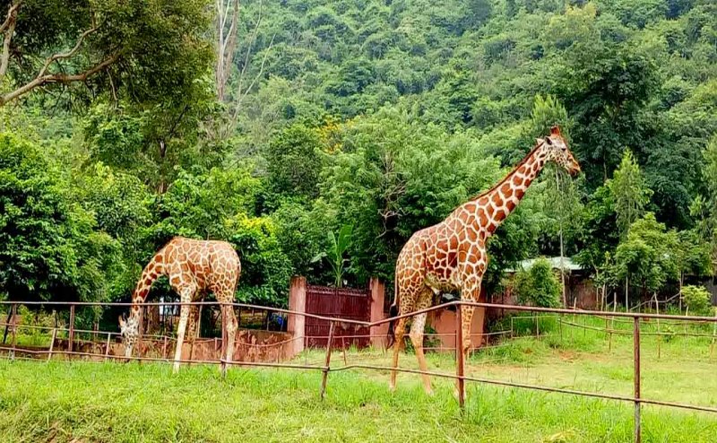  Zoos open in Vizag from Tuesday