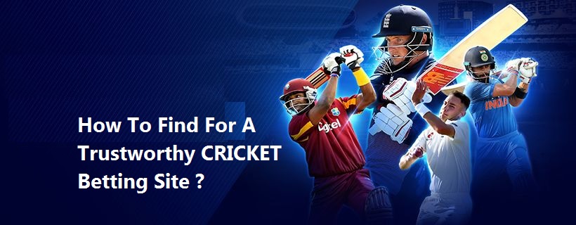 Cricket Betting Site in India: Looking for a Trustworthy One
