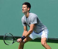 ‘It’s my fault, leave the man alone:’ Serbian PM Ana Brnabic defends Novak Djokovic